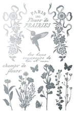 Load image into Gallery viewer, Sheet 3 of 8 of IOD Papillon Gilded Transfer with silver swags, bows, hummingbird, butterflies and French script designs