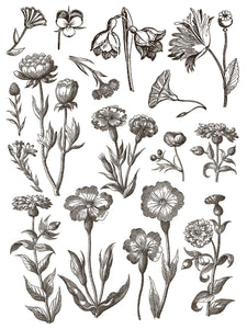 Floriography Paint Inlay by IOD