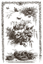 Load image into Gallery viewer, Little Lark Paint Inlay by IOD