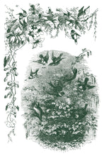 Load image into Gallery viewer, Little Lark Paint Inlay by IOD
