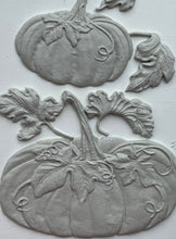 Load image into Gallery viewer, Hello Pumpkin Mould by IOD, Iron Orchid Designs 2