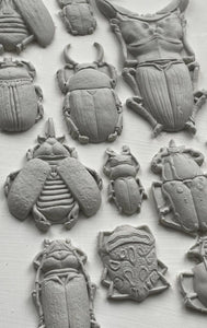 Specimens Mould by IOD, Iron Orchid Designs