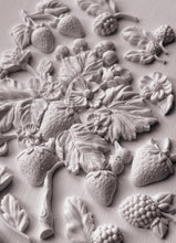 Load image into Gallery viewer, Wild Berries Mould by IOD