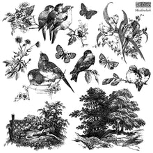 Load image into Gallery viewer, IOD Meadowlark Decor Stamp featuring various designs of birds, landscapes, florals and butterflies.