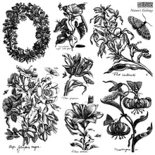 Load image into Gallery viewer, Nature’s Etchings Decor Stamp by Iron Orchid Design