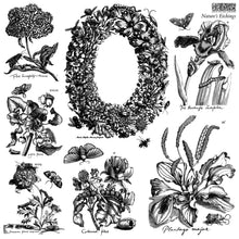 Load image into Gallery viewer, Nature’s Etchings Decor Stamp by Iron Orchid Design