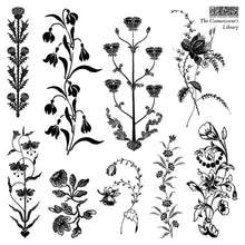 Load image into Gallery viewer, The Connoisseur’s Library Decor Stamp by Iron Orchid Design