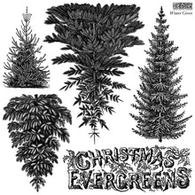 Load image into Gallery viewer, Black and white vintage-style illustration of four different Christmas evergreen trees with decorative text reading 'CHRISTMAS EVERGREENS' and 'Winter Grove' in the upper right.