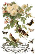 Load image into Gallery viewer, IOD By Any Other Name Transfer Sheet 1 of 8 with French vintage-style illustration of birds, roses, butterflies with French label.