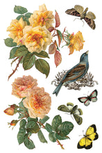 Load image into Gallery viewer, IOD By Any Other Name Transfer Sheet 5 of 8 with blush, pink peach roses and flowers, birds, and butterflies