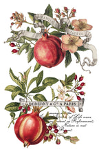 Load image into Gallery viewer, Clementine Transfer by IOD