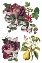 Load image into Gallery viewer, Clementine Transfer by IOD