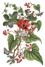 Load image into Gallery viewer, Clementine Transfer by IOD