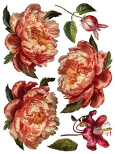 Load image into Gallery viewer, Collage de Fleurs, Transfer by IOD, Iron Orchid Designs