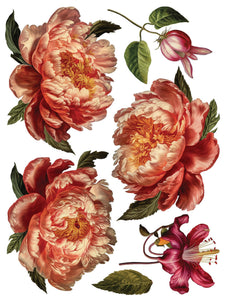 Collage de Fleurs, Transfer by IOD, Iron Orchid Designs