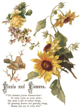 Load image into Gallery viewer, Flowers by the Poets Transfer by IOD
