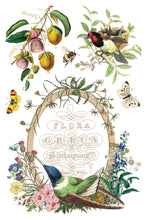 Load image into Gallery viewer, Vintage-style birds, flowers, and 'Flora Greca...' text in oval frame in IOD Floral Greca Transfer Sheet 1 of 8 by Iron Orchid Designs 