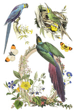 Load image into Gallery viewer, IOD Flora Greca Transfer Sheet 2 of 8 with birds, a nest, and butterflies with floral elements.