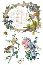 Load image into Gallery viewer, IOD Flora Greca Transfer sheet 3 of 8 with an oval frame with hummingbird and 'Flora Greca...' text,  other birds, flowers