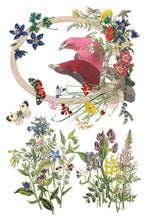Load image into Gallery viewer, IOD Flora Greca Transfer Sheet 5 of 8 with a color illustration of birds in oval frame with flowers plus two other botanical designs.