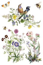 Load image into Gallery viewer, IOD Flora Greca Transfer sheet 6 of 8 with birds, butterflies, and bees among flowers.
