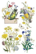 Load image into Gallery viewer, IOD Flora Greca Transfer Sheet 7 of 8 with 4 varied designs of birds, butterflies,  flowers and a label.