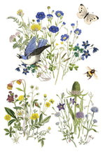 Load image into Gallery viewer, IOD Flora Greca Transfer sheet 8 of 8 with 3 varied designs featuring botanical, birds, butterflies, and bees among flowers and plants.