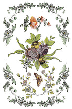 Load image into Gallery viewer, Fairy Tale Florals Transfer by IOD, Iron Orchid Designs 7