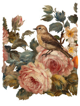 Load image into Gallery viewer, Joie des Roses, Transfer by IOD, Iron Orchid Designs