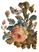 Load image into Gallery viewer, Joie des Roses, Transfer by IOD, Iron Orchid Designs