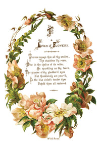 Lover of Flowers Transfer by IOD, Iron Orchid Designs