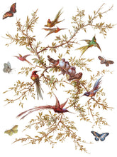 Load image into Gallery viewer, Varied beautiful birds on branches along with butterflies on Sheet 7 of 8 IOD Madeline Transfer.