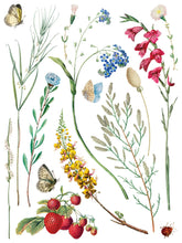 Load image into Gallery viewer, Marché des Fleurs Transfer by IOD