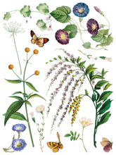Load image into Gallery viewer, Marché des Fleurs Transfer by IOD