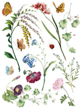 Load image into Gallery viewer, Marché des Fleurs Transfer by IOD