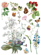 Load image into Gallery viewer, Marché des Fleurs Transfer by IOD