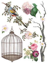 Load image into Gallery viewer, Menagerie Transfer by IOD
