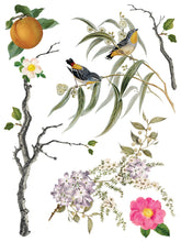 Load image into Gallery viewer, Menagerie Transfer by IOD