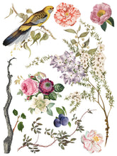 Load image into Gallery viewer, Menagerie Transfer by IOD