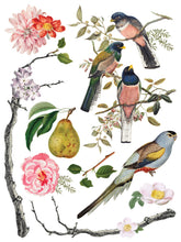 Load image into Gallery viewer, Menagerie Transfer by IOD