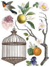 Load image into Gallery viewer, Menagerie Transfer by IOD