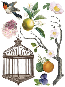 Menagerie Transfer by IOD