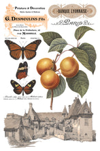 Load image into Gallery viewer, IOD Saint Ouen Transfer Sheet 4 of 8 depicting varied vintage-style color illustrations with butterflies, peaches,  antique labels and French chateau.