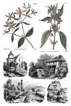 Load image into Gallery viewer, IOD Saint Ouen Transer by Iron Orchid Designs Sheet 5 of 8 with color botanicals and illustrated French country homes and landscape.