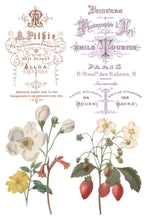 Load image into Gallery viewer, IOD Saint Ouen Transfer Sheet 7 of 8 with 4 varied designs including 2 antique French labels and 2 Strawberry blossom florals and strawberries.