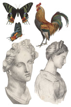 Load image into Gallery viewer, IOD Saint Ouen Transfer Sheet 8 of 8 depicting two classical busts, statues, a color rooster and butterflies.