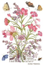 Load image into Gallery viewer, Primrose Isle Transfer by IOD