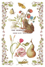 Load image into Gallery viewer, Primrose Isle Transfer by IOD