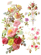 Load image into Gallery viewer, Saint Germain Transfer by IOD
