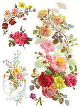 Load image into Gallery viewer, Saint Germain Transfer by IOD